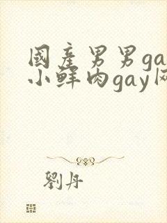 国产男男gay小鲜肉gay网站亚洲