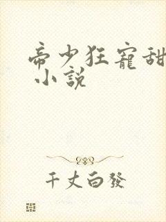 帝少狂宠甜蜜妻 小说