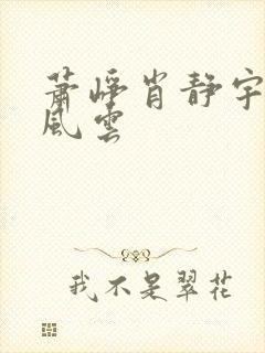 萧峥肖静宇执掌风云封面