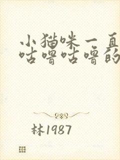 小猫咪一直发出咕噜咕噜的声音