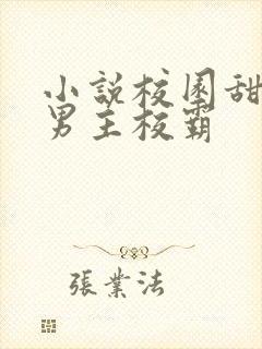 小说校园甜宠文男主校霸