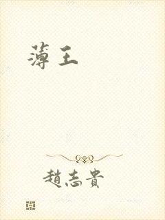 薄王封面