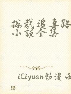 总裁追妻路漫漫小说全集