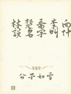 林楚乔李向南小说名字叫什么