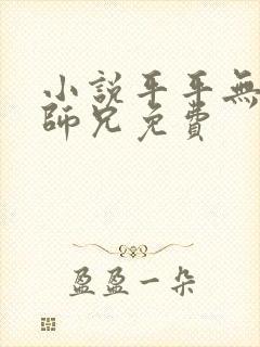 小说平平无奇大师兄免费