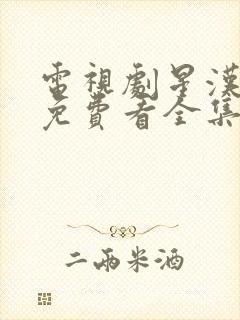 电视剧星汉灿烂免费看全集