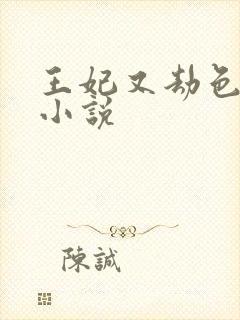 王妃又劫色了 小说封面