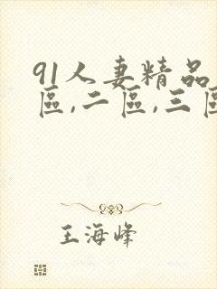 91人妻精品一区,二区,三区