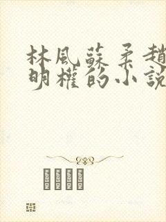 林风苏柔赵刚周明权的小说