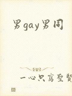男gay男同