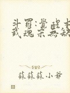 斗罗:觉醒本体武魂宋无缺