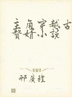 主角穿越古代成赘婿小说封面