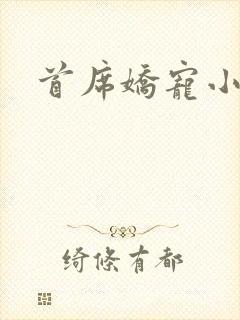 首席娇宠小情人