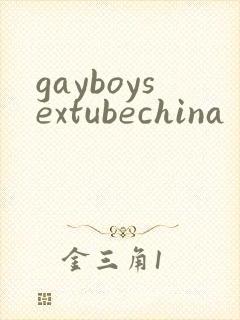 gayboysextubechina