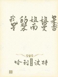 我的姐姐是大明星裴南曼番外封面