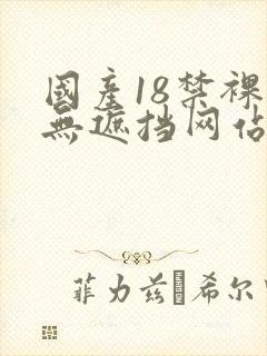 国产18禁裸体无遮挡网站