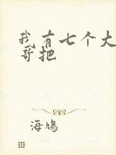我有七个大佬哥哥把