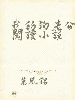 我的狗老公在线阅读小说封面