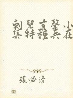 刺儿有声小说全集特种兵在都市