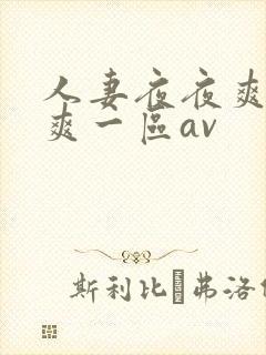 人妻夜夜爽天天爽一区av