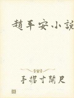 赵平安小说主角