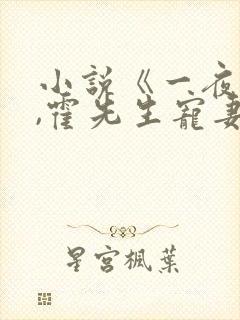 小说《一夜情深,霍先生宠妻无度》封面