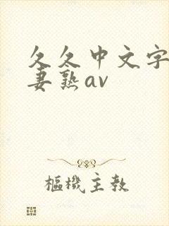 久久中文字幕人妻熟av