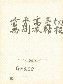 偷香高手txt无删减精校版