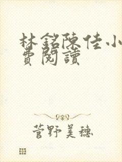 林铭陈佳小说免费阅读