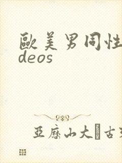 欧美男同性videos