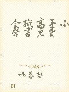 全职高手小说有声书免费