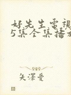 好先生电视剧45集全集播放免费观看