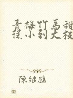 青梅竹马甜宠文从小到大校园封面