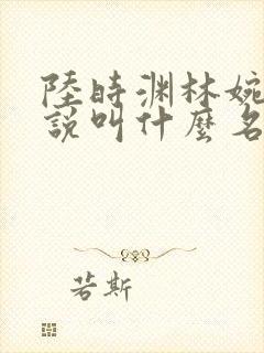 陆时渊林婉婷小说叫什么名字