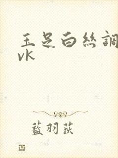 玉足白丝调教丨vk封面