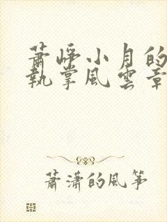 萧峥小月的小说执掌风云章节更新