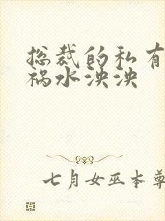 总裁的私有宝贝祸水泱泱封面