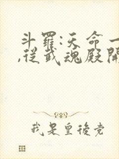 斗罗:天命一族,从武魂殿开始封面