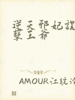 逆天邪妃误惹妖孽王爷