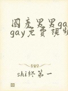 国产男男gaygay免费视频