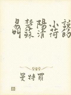 易楚阳小说女主叫苏清荷的小说名字