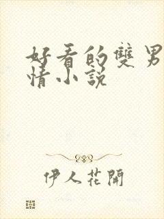 好看的双男主言情小说