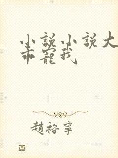 小说小说大叔乖乖宠我