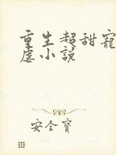 重生超甜宠文无虐小说