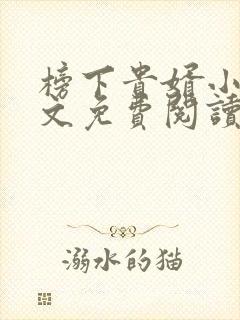 榜下贵婿小说全文免费阅读无弹窗