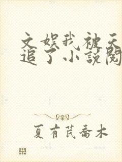 文娱我被天后倒追了小说阅读封面