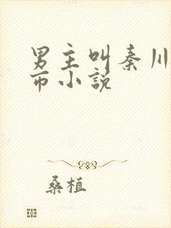 男主叫秦川的都市小说