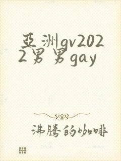 亚洲gv2022男男gay