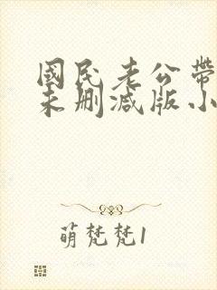 国民老公带回家未删减版小说