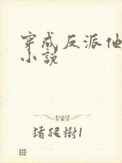 穿成反派他前妻小说